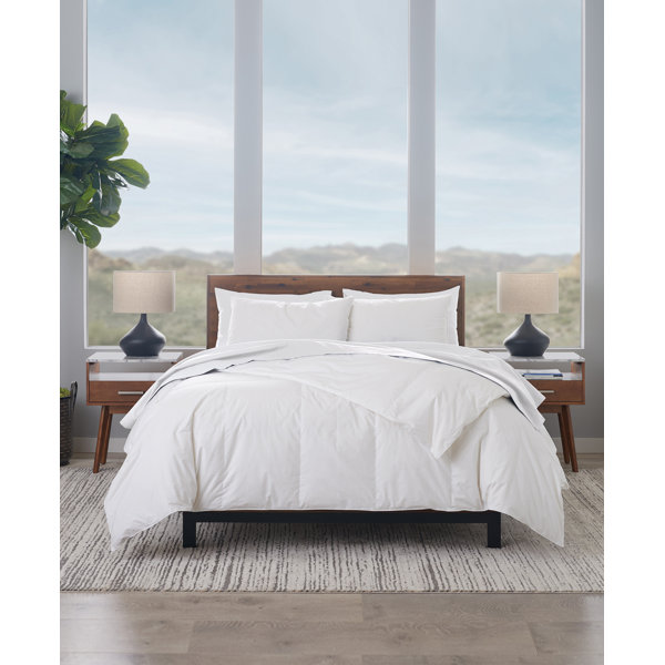 Ella Jayne Home Down & Feather Blend Comforter & Reviews Wayfair